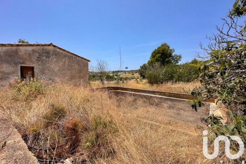 Terreno in vendita a Polop, Alicante, Spagna 38000 mq. N° 153358 - foto 5