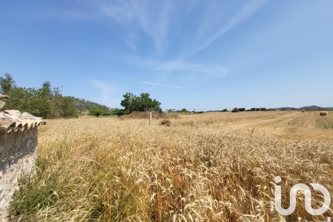 Terreno in vendita a Sineu, Mallorca, Spagna 14060 mq. N° 153359 - foto 14