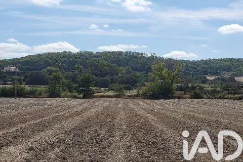 Terreno in vendita a Sineu, Mallorca, Spagna 14060 mq. N° 153359 - foto 20