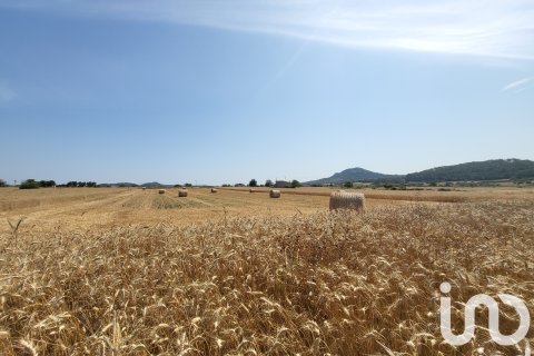 Terreno in vendita a Sineu, Mallorca, Spagna 14060 mq. N° 153359 - foto 16