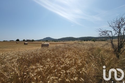 Terreno in vendita a Sineu, Mallorca, Spagna 14060 mq. N° 153359 - foto 26