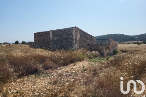 Terreno in vendita a Sineu, Mallorca, Spagna 14060 mq. N° 153359 - foto 8