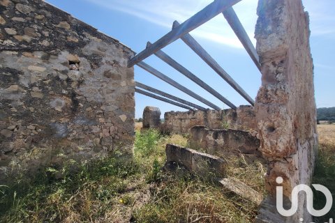 Terreno in vendita a Sineu, Mallorca, Spagna 14060 mq. N° 153359 - foto 9