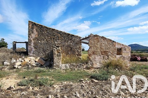 Terreno in vendita a Sineu, Mallorca, Spagna 14060 mq. N° 153359 - foto 4