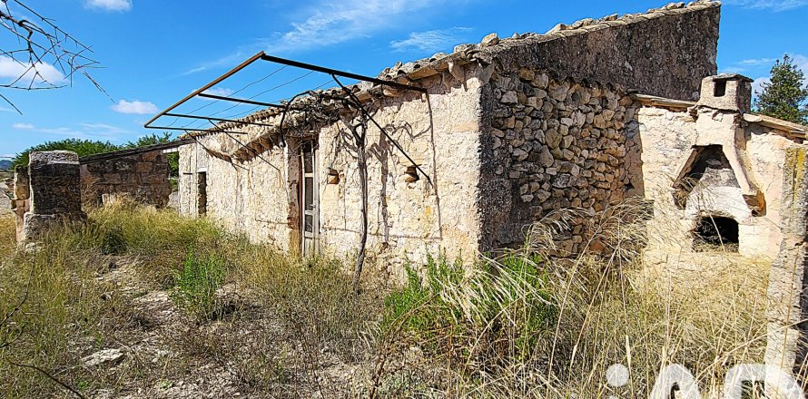 Terreno a Sineu, Mallorca, Spagna 14060 mq. N° 153359