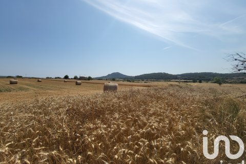 Terreno in vendita a Sineu, Mallorca, Spagna 14060 mq. N° 153359 - foto 21