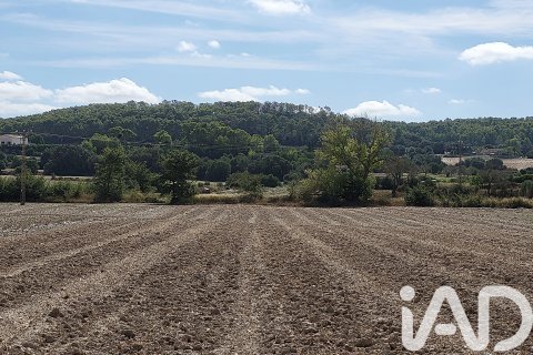 Terreno in vendita a Sineu, Mallorca, Spagna 14060 mq. N° 153359 - foto 13
