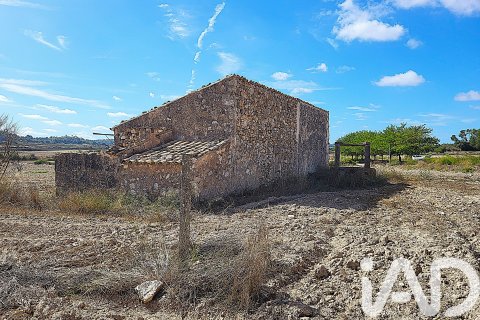 Terreno in vendita a Sineu, Mallorca, Spagna 14060 mq. N° 153359 - foto 2
