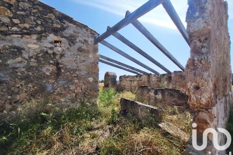 Terreno in vendita a Sineu, Mallorca, Spagna 14060 mq. N° 153359 - foto 17