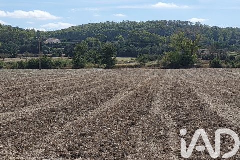 Terreno in vendita a Sineu, Mallorca, Spagna 14060 mq. N° 153359 - foto 5