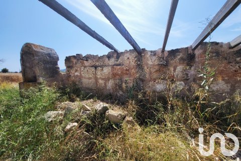 Terreno in vendita a Sineu, Mallorca, Spagna 14060 mq. N° 153359 - foto 19