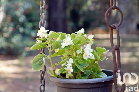 Hus till salu i Torroella de Montgri, Girona, Spanien 12 sovrum, 2062 kvm. Nr. 153363 - foto 30