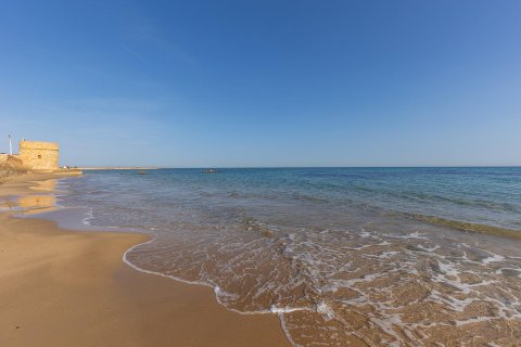 Lägenhet till salu La Mata, Alicante, Spanien 3 sovrum, 76 kvm. Nr. 139462 - foto 20