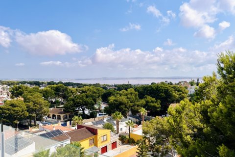 Villa till salu Torrevieja, Alicante, Spanien 6 sovrum, 218 kvm. Nr. 139464 - foto 3