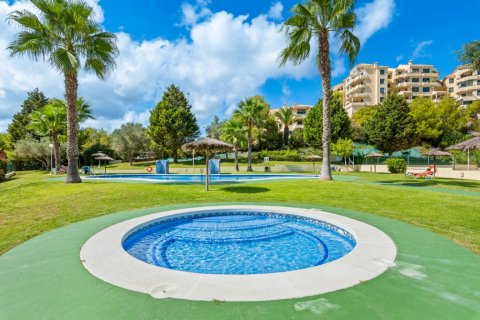 Lägenhet till salu i Dehesa De Campoamor, Alicante, Spanien 2 sovrum, 100 kvm. Nr. 146081 - foto 5