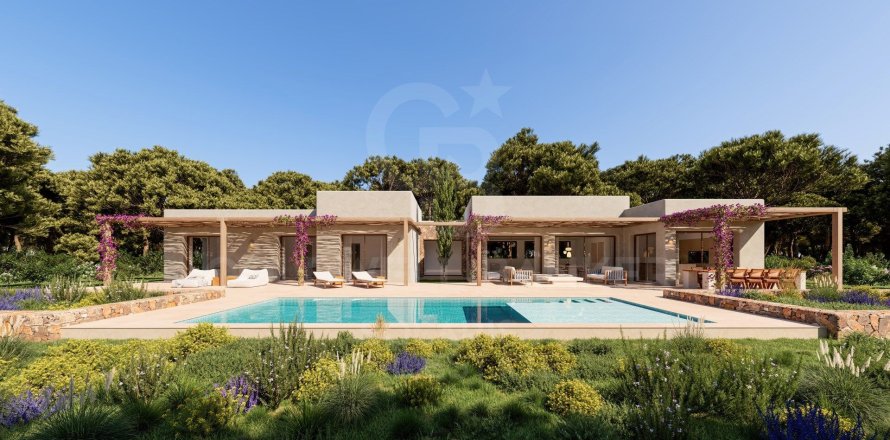 Huvila Javea, Alicante, Espanja 4 makuuhuonetta, 415 m2 No. 158623