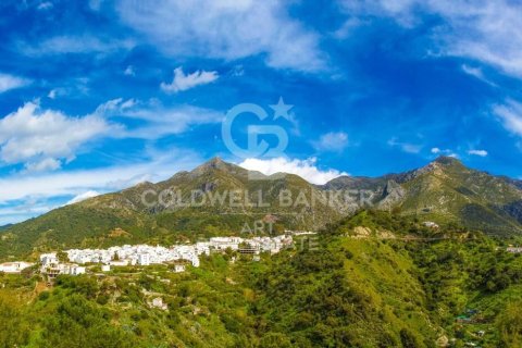 Townhouse à vendre à Istan, Malaga, Espagne, 3 chambres, 190 m2 No. 159987 - photo 17