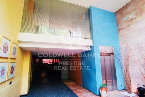 Продажа коммерческой недвижимости в Барселона, Испания 564м2 №157662 - фото 24