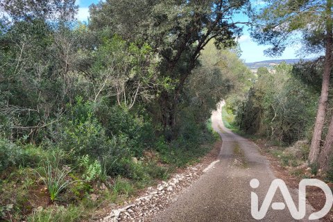 Zemes gabals pārdošanā Sant Joan, Mallorca, Spānijā 11259 m2 Nr. 185233 - attēls 2