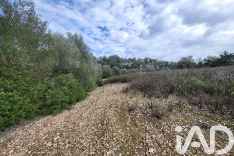 Zemes gabals pārdošanā Sant Joan, Mallorca, Spānijā 11259 m2 Nr. 185233 - attēls 6