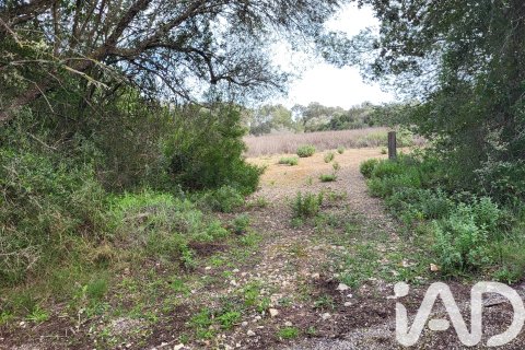 Zemes gabals pārdošanā Sant Joan, Mallorca, Spānijā 11259 m2 Nr. 185233 - attēls 3