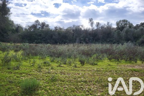 Zemes gabals pārdošanā Sant Joan, Mallorca, Spānijā 11259 m2 Nr. 185233 - attēls 23