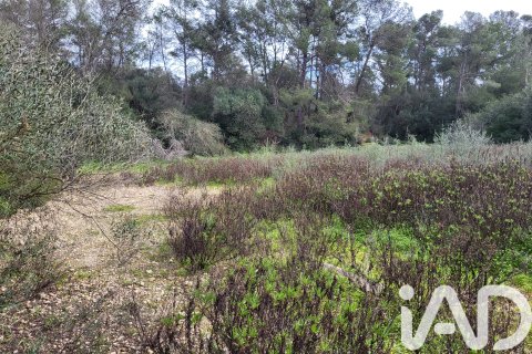 Zemes gabals pārdošanā Sant Joan, Mallorca, Spānijā 11259 m2 Nr. 185233 - attēls 17