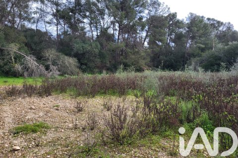 Zemes gabals pārdošanā Sant Joan, Mallorca, Spānijā 11259 m2 Nr. 185233 - attēls 19