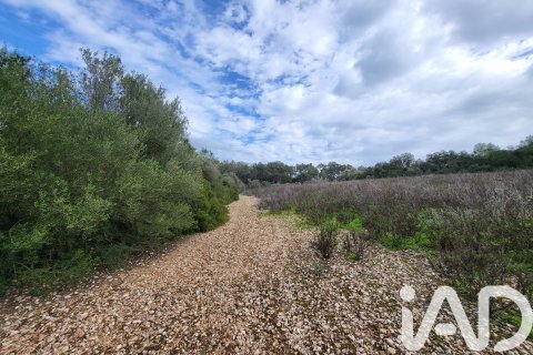 Zemes gabals pārdošanā Sant Joan, Mallorca, Spānijā 11259 m2 Nr. 185233 - attēls 4