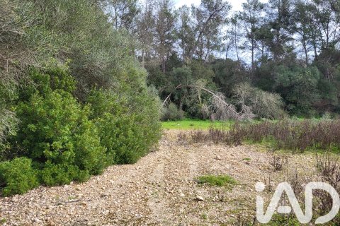 Zemes gabals pārdošanā Sant Joan, Mallorca, Spānijā 11259 m2 Nr. 185233 - attēls 18