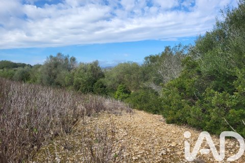 Zemes gabals pārdošanā Sant Joan, Mallorca, Spānijā 11259 m2 Nr. 185233 - attēls 11