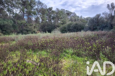 Zemes gabals pārdošanā Sant Joan, Mallorca, Spānijā 11259 m2 Nr. 185233 - attēls 16