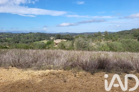 Zemes gabals pārdošanā Sant Joan, Mallorca, Spānijā 11259 m2 Nr. 185233 - attēls 29