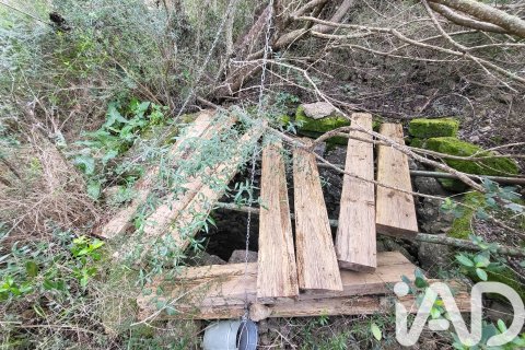Zemes gabals pārdošanā Sant Joan, Mallorca, Spānijā 11259 m2 Nr. 185233 - attēls 13