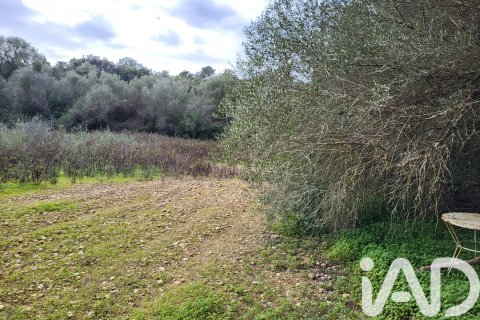 Zemes gabals pārdošanā Sant Joan, Mallorca, Spānijā 11259 m2 Nr. 185233 - attēls 22