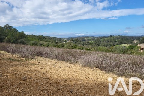 Zemes gabals pārdošanā Sant Joan, Mallorca, Spānijā 11259 m2 Nr. 185233 - attēls 28