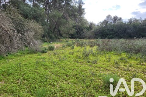 Zemes gabals pārdošanā Sant Joan, Mallorca, Spānijā 11259 m2 Nr. 185233 - attēls 24