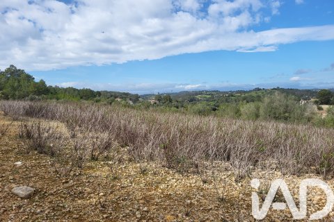 Zemes gabals pārdošanā Sant Joan, Mallorca, Spānijā 11259 m2 Nr. 185233 - attēls 26