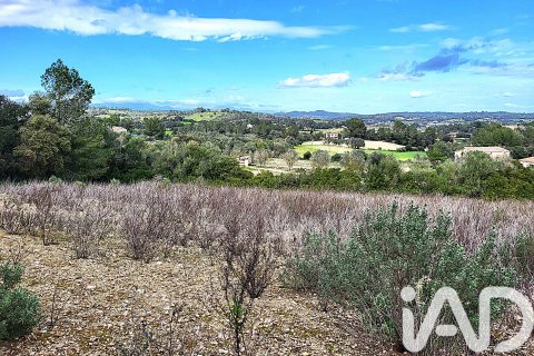 Land plot in Sant Joan, Mallorca, Spain 11259 sq.m. No. 185233