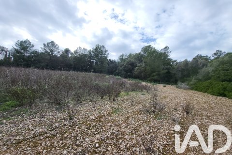 Zemes gabals pārdošanā Sant Joan, Mallorca, Spānijā 11259 m2 Nr. 185233 - attēls 5