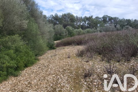 Zemes gabals pārdošanā Sant Joan, Mallorca, Spānijā 11259 m2 Nr. 185233 - attēls 7