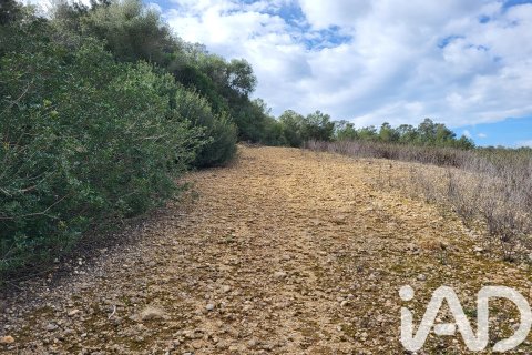Zemes gabals pārdošanā Sant Joan, Mallorca, Spānijā 11259 m2 Nr. 185233 - attēls 25