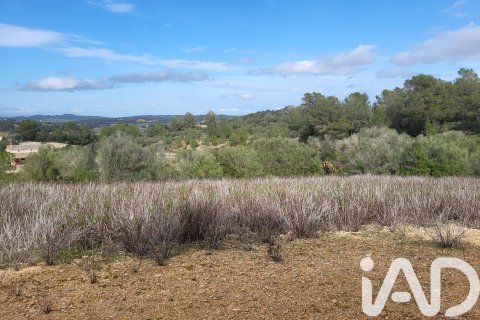 Zemes gabals pārdošanā Sant Joan, Mallorca, Spānijā 11259 m2 Nr. 185233 - attēls 30