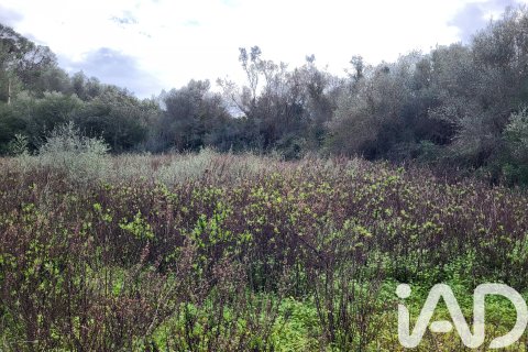 Zemes gabals pārdošanā Sant Joan, Mallorca, Spānijā 11259 m2 Nr. 185233 - attēls 20