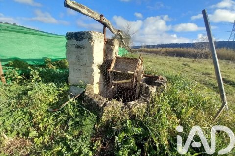 Продажа земельного участка в Манакор, Майорка, Испания 2000м2 №185230 - фото 9