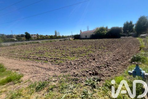 Продажа земельного участка в Сьюдад Родриго, Саламанка, Испания 1300м2 №184863 - фото 6