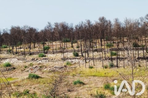 Propiedad comercial en venta en Xerta, Tarragona, España No. 187619 - foto 12