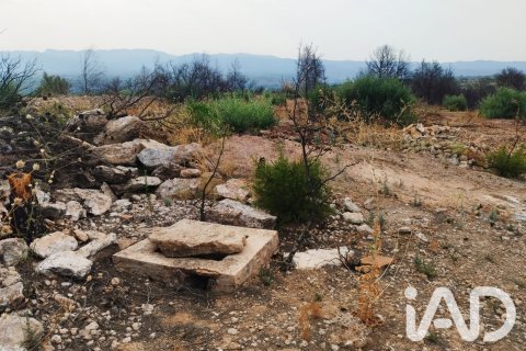 Propiedad comercial en venta en Xerta, Tarragona, España No. 187619 - foto 3