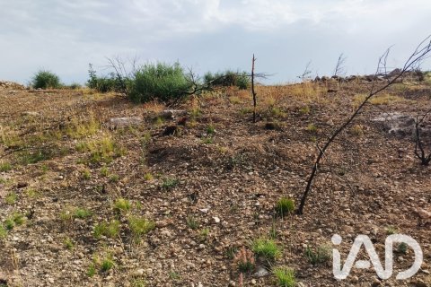 Propiedad comercial en venta en Xerta, Tarragona, España No. 187619 - foto 13