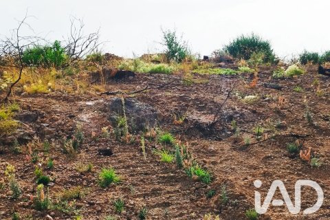 Propiedad comercial en venta en Xerta, Tarragona, España No. 187619 - foto 19